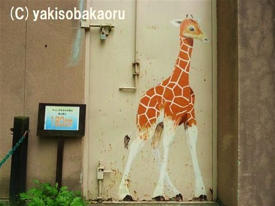 動物園の写真：<b>広島市安佐動物公園</b>のアミメキリン舎の壁